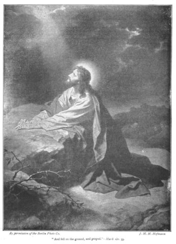 mark1435andfellonthegroundandprayed.jpg